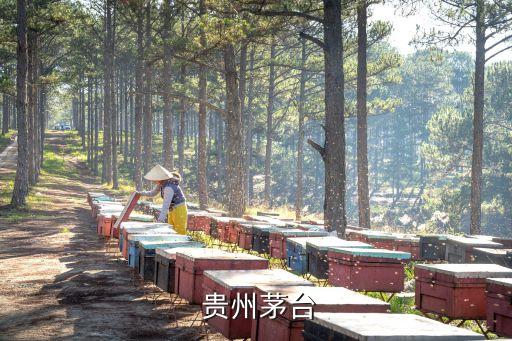  貴州茅臺