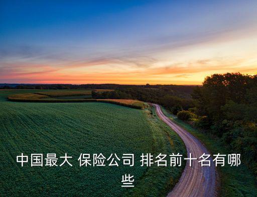 新華保險(xiǎn)公司排名,華泰保險(xiǎn)公司全國(guó)排名第幾
