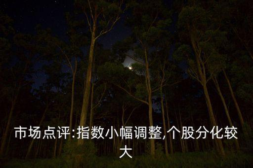 廣東大周基金,廣東政府引導基金