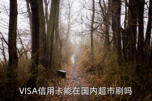 visa在中國的業(yè)務