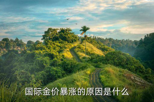國際金價(jià)暴漲的原因是什么
