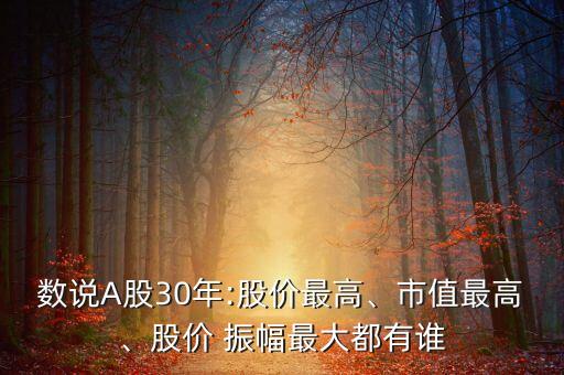 數(shù)說(shuō)A股30年:股價(jià)最高、市值最高、股價(jià) 振幅最大都有誰(shuí)