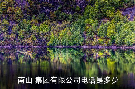 南山集團(tuán)資本