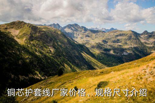 銅芯護(hù)套線廠家價格、規(guī)格尺寸介紹