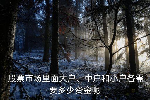 客戶投資100萬(wàn)股票2手需要多少錢(qián)