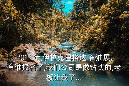 2011年 伊拉克巴格達(dá) 石油展,有誰報名了,我們公司是做鉆頭的,老板讓我了...