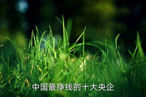中國(guó)最掙錢(qián)的十大央企