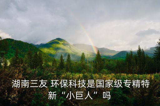  湖南三友 環(huán)保科技是國家級專精特新“小巨人”嗎