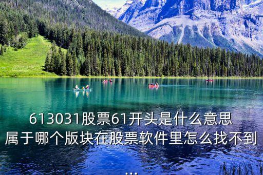 613031股票61開(kāi)頭是什么意思屬于哪個(gè)版塊在股票軟件里怎么找不到...