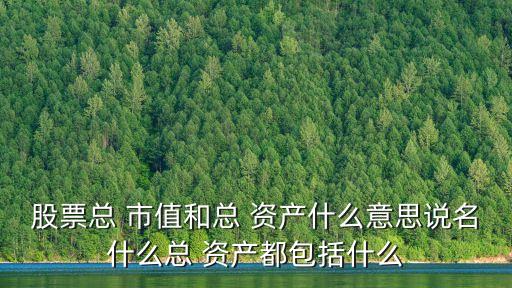 股票總 市值和總 資產什么意思說名什么總 資產都包括什么