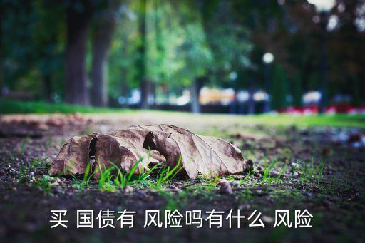 買 國債有 風(fēng)險嗎有什么 風(fēng)險
