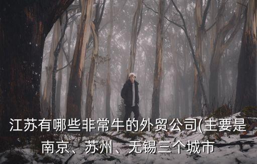 江蘇有哪些非常牛的外貿(mào)公司(主要是南京、蘇州、無錫三個城市