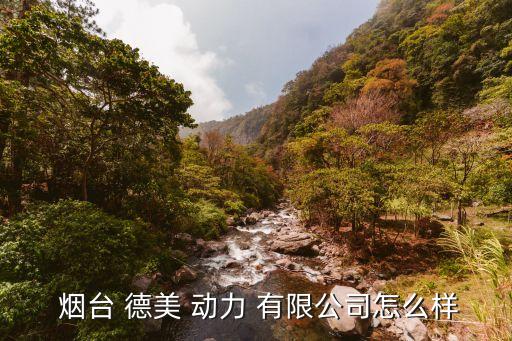  煙臺 德美 動(dòng)力 有限公司怎么樣