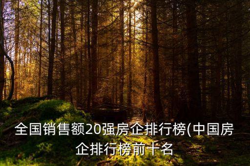 全國(guó)銷(xiāo)售額20強(qiáng)房企排行榜(中國(guó)房企排行榜前十名