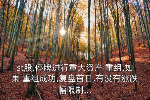 st股,停牌進行重大資產(chǎn) 重組,如果 重組成功,復(fù)盤首日,有沒有漲跌幅限制...