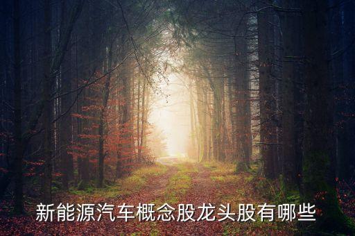 新能源汽車(chē)概念股龍頭股有哪些