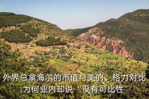 外界總拿海爾的市值與美的、格力對比,為何業(yè)內(nèi)卻說“沒有可比性”