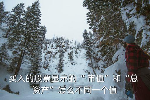 買入的股票顯示的“ 市值”和“總 資產”怎么不同一個值