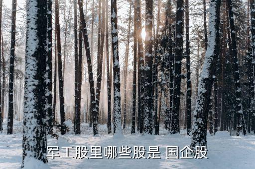 軍工股里哪些股是 國(guó)企股