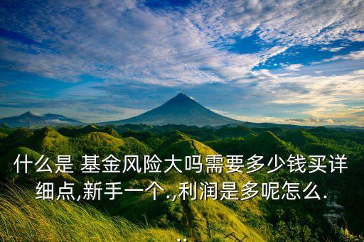 什么是 基金風(fēng)險(xiǎn)大嗎需要多少錢(qián)買(mǎi)詳細(xì)點(diǎn),新手一個(gè).,利潤(rùn)是多呢怎么...