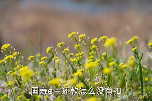 中國(guó)人壽e寶賬戶(hù)