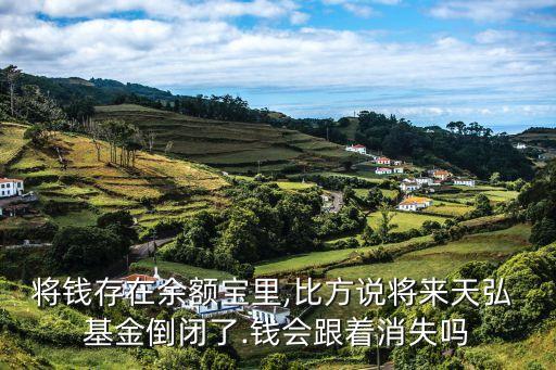 將錢(qián)存在余額寶里,比方說(shuō)將來(lái)天弘 基金倒閉了.錢(qián)會(huì)跟著消失嗎