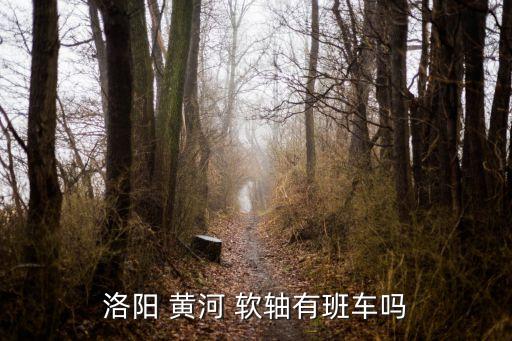 洛陽(yáng) 黃河 軟軸有班車嗎