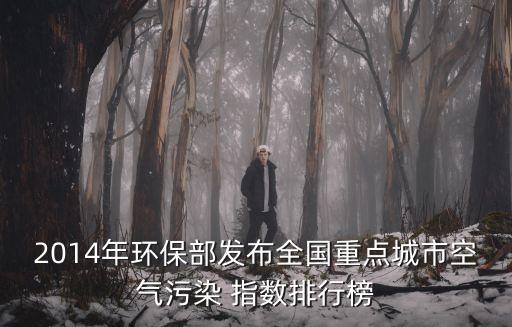 2014年環(huán)保部發(fā)布全國重點城市空氣污染 指數排行榜