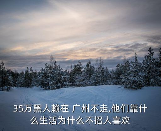 35萬(wàn)黑人賴在 廣州不走,他們靠什么生活為什么不招人喜歡