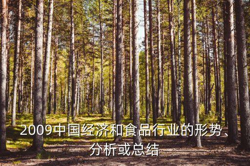 2009中國經(jīng)濟和食品行業(yè)的形勢、分析或總結(jié)