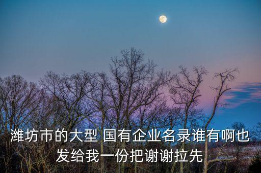 榮縣國有資產經營投資有限公司,泰興市成興國有資產經營投資有限公司