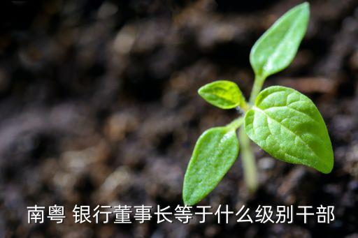  南粵 銀行董事長等于什么級(jí)別干部