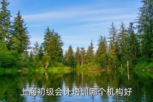 上海初級會計培訓(xùn)哪個機構(gòu)好