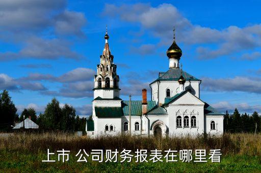  上市 公司財務(wù)報表在哪里看