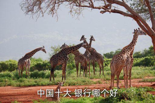 最有實(shí)力的五大銀行,中國五大銀行實(shí)力排名