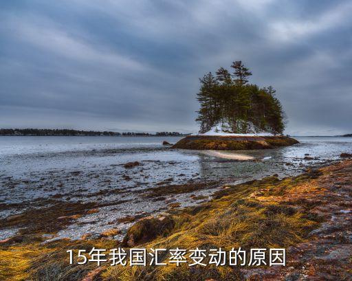 15年我國匯率變動(dòng)的原因
