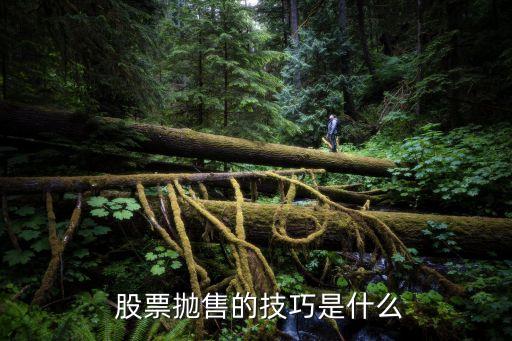 怎樣能股票賣(mài)到高位,股票只有人賣(mài)沒(méi)有人買(mǎi)會(huì)怎樣