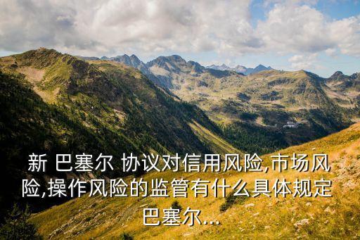 新 巴塞爾 協(xié)議對信用風(fēng)險(xiǎn),市場風(fēng)險(xiǎn),操作風(fēng)險(xiǎn)的監(jiān)管有什么具體規(guī)定 巴塞爾...