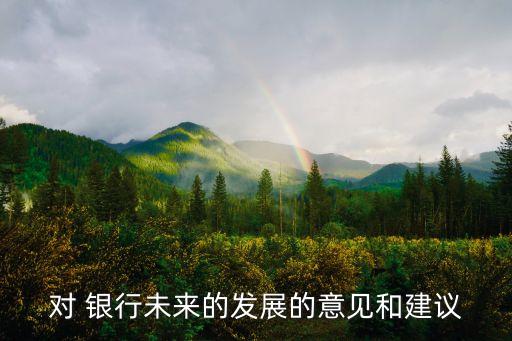 對(duì) 銀行未來的發(fā)展的意見和建議