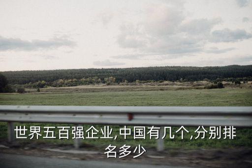 世界五百強(qiáng)企業(yè),中國有幾個,分別排名多少
