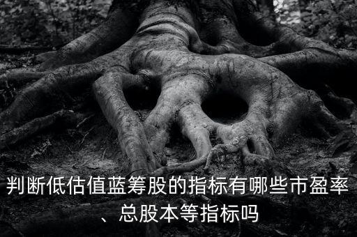 判斷低估值藍(lán)籌股的指標(biāo)有哪些市盈率、總股本等指標(biāo)嗎