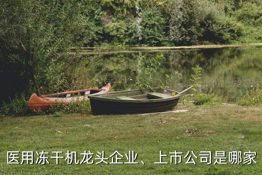 醫(yī)用凍干機(jī)龍頭企業(yè)、上市公司是哪家
