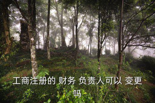工商注冊的 財務(wù) 負(fù)責(zé)人可以 變更嗎