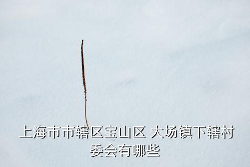  上海市市轄區(qū)寶山區(qū) 大場鎮(zhèn)下轄村委會(huì)有哪些
