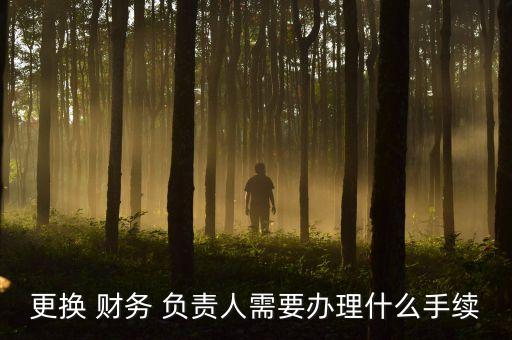 更換 財務(wù) 負(fù)責(zé)人需要辦理什么手續(xù)