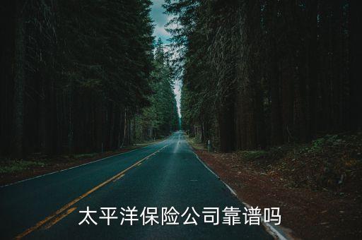 中國太保2012年年度報(bào)表