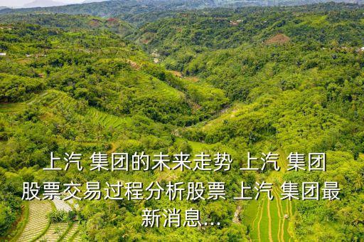  上汽 集團(tuán)的未來(lái)走勢(shì) 上汽 集團(tuán)股票交易過(guò)程分析股票 上汽 集團(tuán)最新消息...