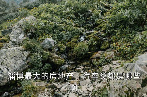  淄博最大的房地產(chǎn)、汽車類都是哪些啊