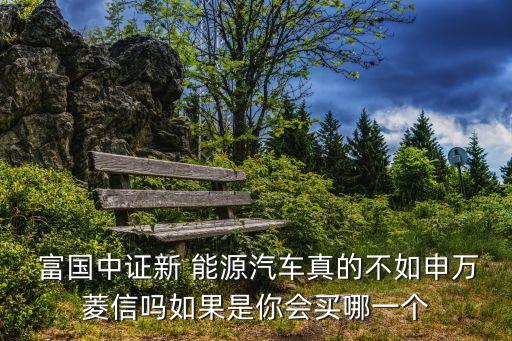  富國(guó)中證新 能源汽車真的不如申萬(wàn)菱信嗎如果是你會(huì)買哪一個(gè)
