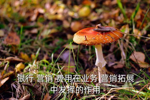 銀行營(yíng)銷(xiāo)費(fèi)用方案,銀行旺季營(yíng)銷(xiāo)方案及措施